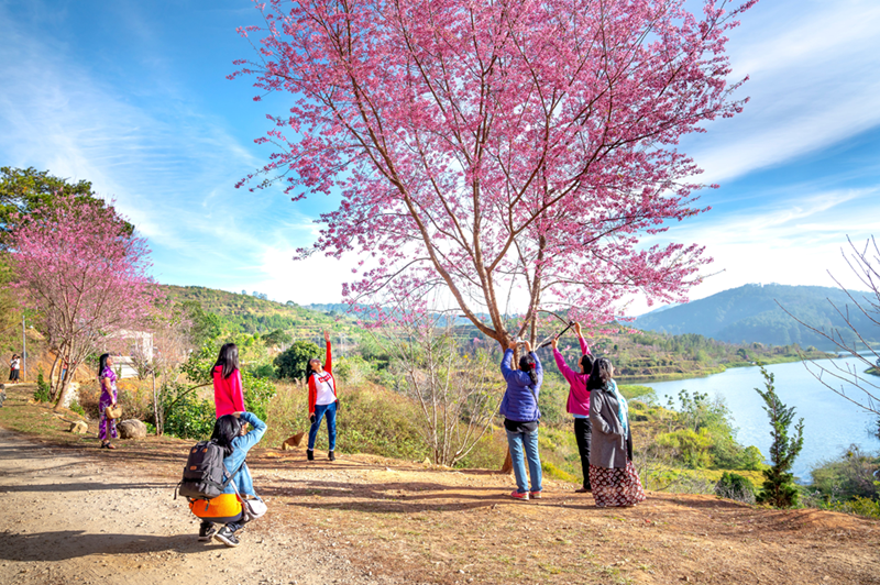 8 Days Meghalaya Tour Package With David Scott Trek