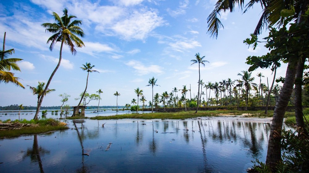 Best of Kerala Tour Package – 4 Nights / 5 Days