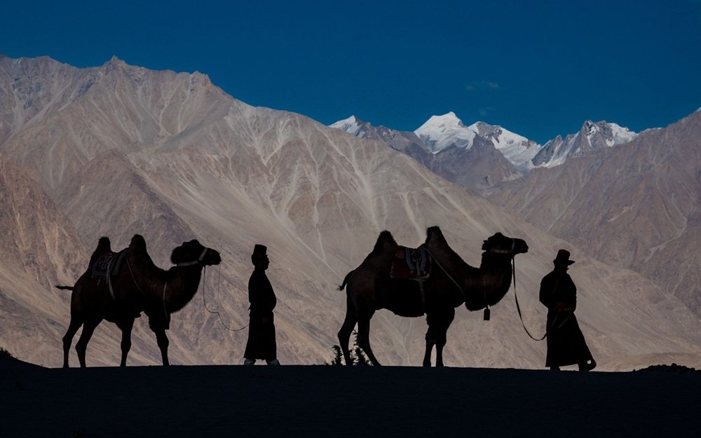 Leh to Leh With Turtuk Group Tour  6 Nights and 7 Days