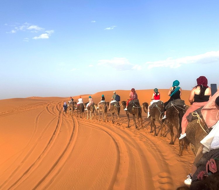 Grand Rajasthan Tour Package – Jaipur, Bikaner, Jaisalmer, Jodhpur, Mount Abu, Udaipur & Ranthambore 11 Nights / 12 Days