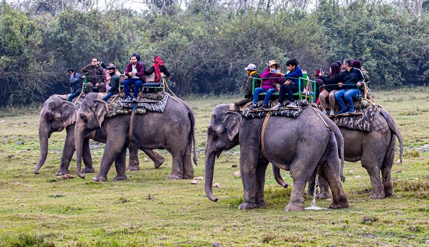 Rajasthan Group Tour – Jaipur, Pushkar & Udaipur | 5 Nights 6 Days